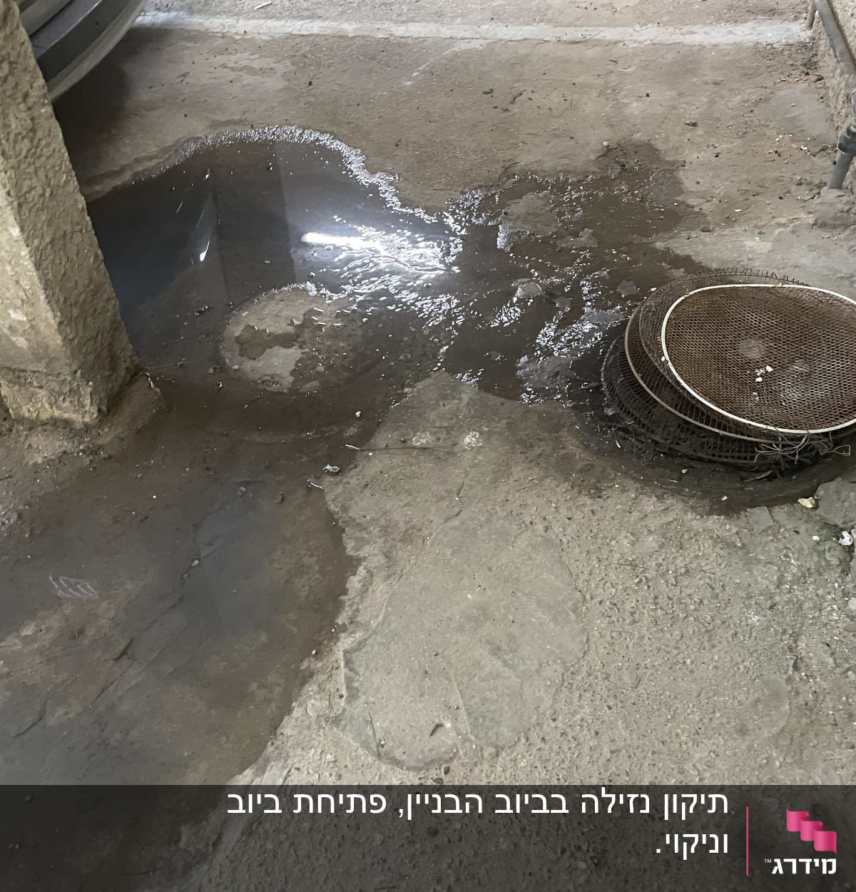 שלולית מים על רצפת בטון ליד רכב חונה